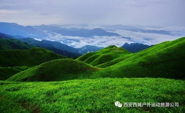 燃烧吧大脑免广告最新版